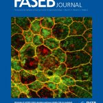 Faseb Journal Cover