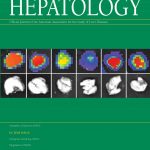 Hepatology Cover
